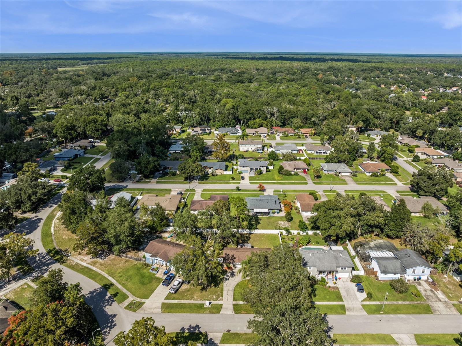 Image 41 of 48 For 1513 Leopard Ct