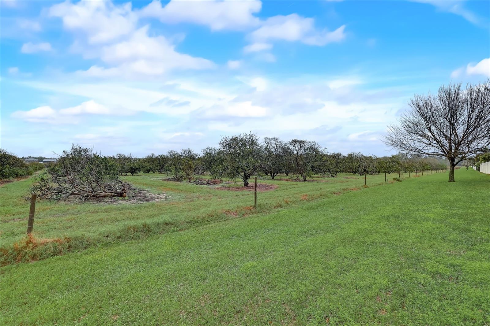 Image 48 of 62 For 4512 Olympia Court