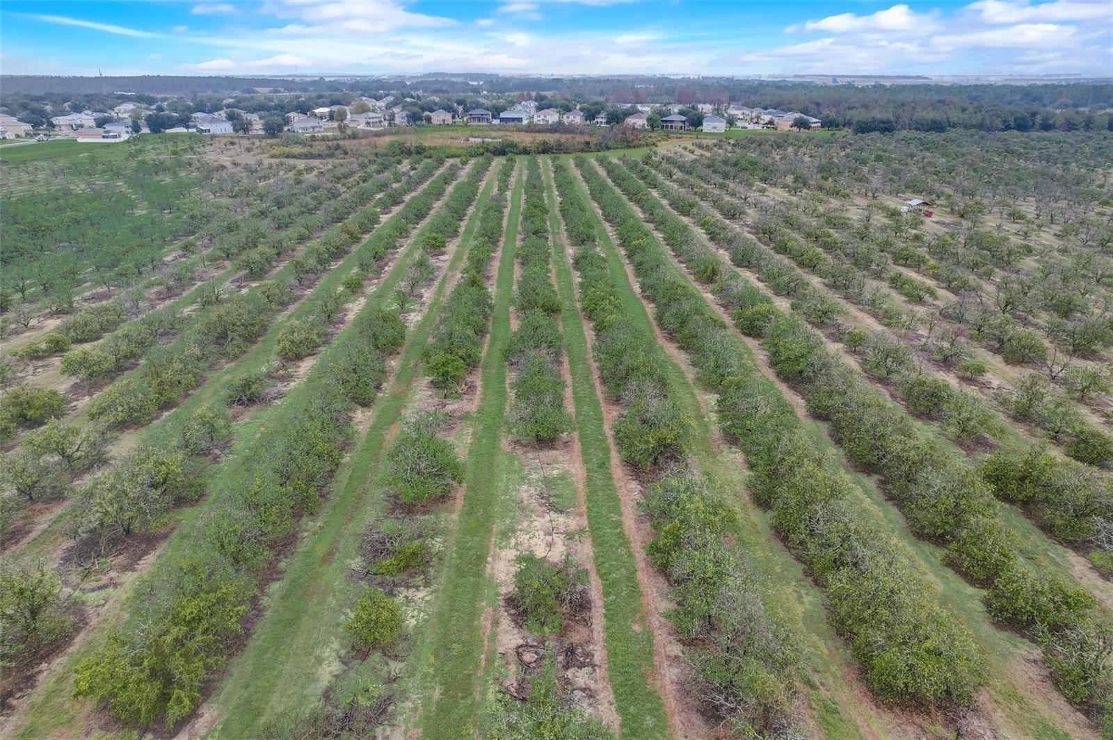 Image 61 of 62 For 4512 Olympia Court