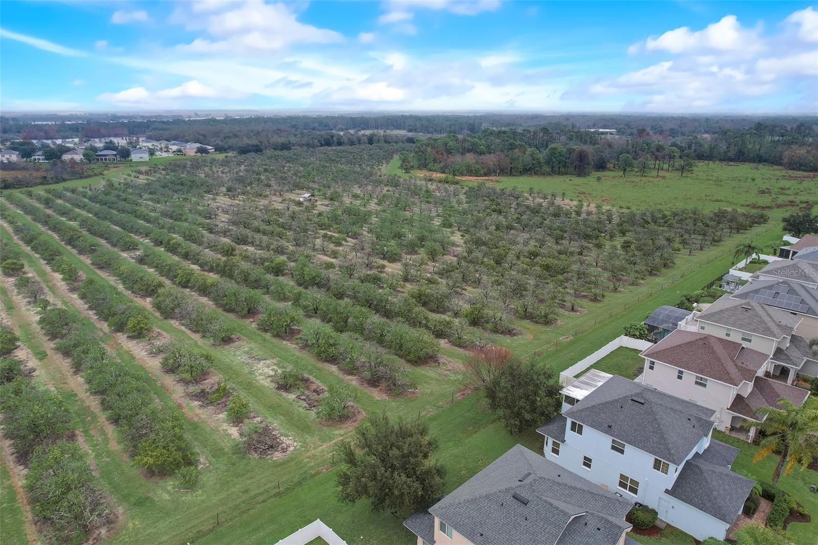 Image 62 of 62 For 4512 Olympia Court