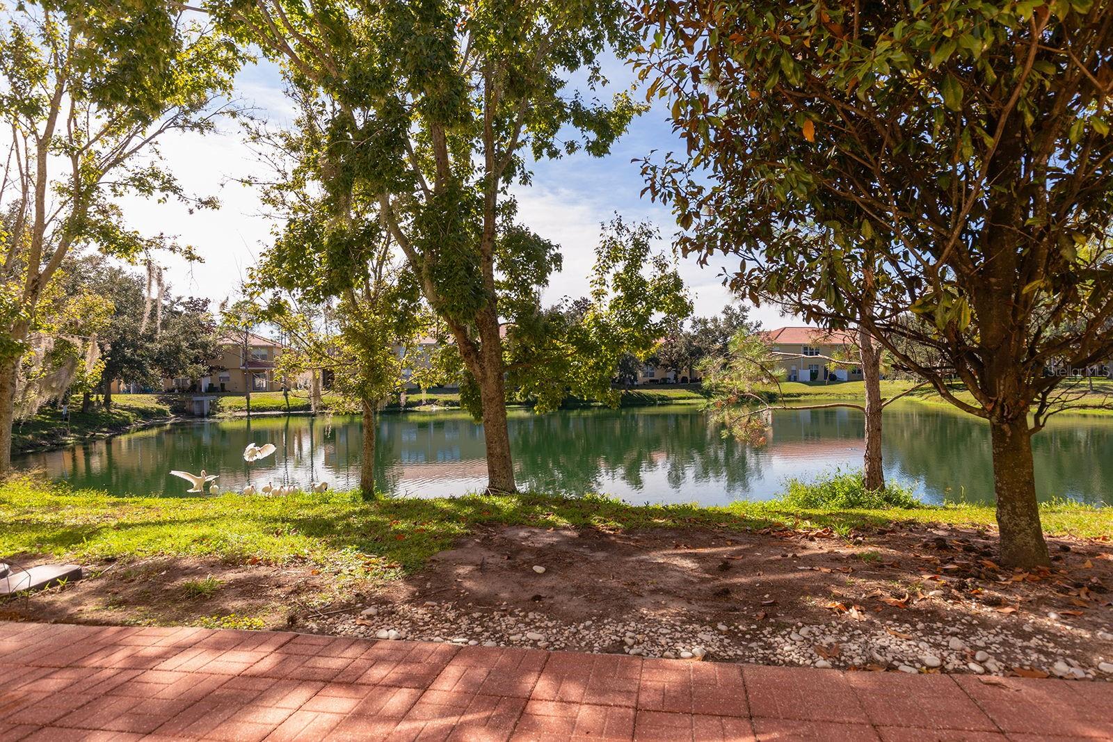 Image 2 of 27 For 3072 Seaview Castle Drive