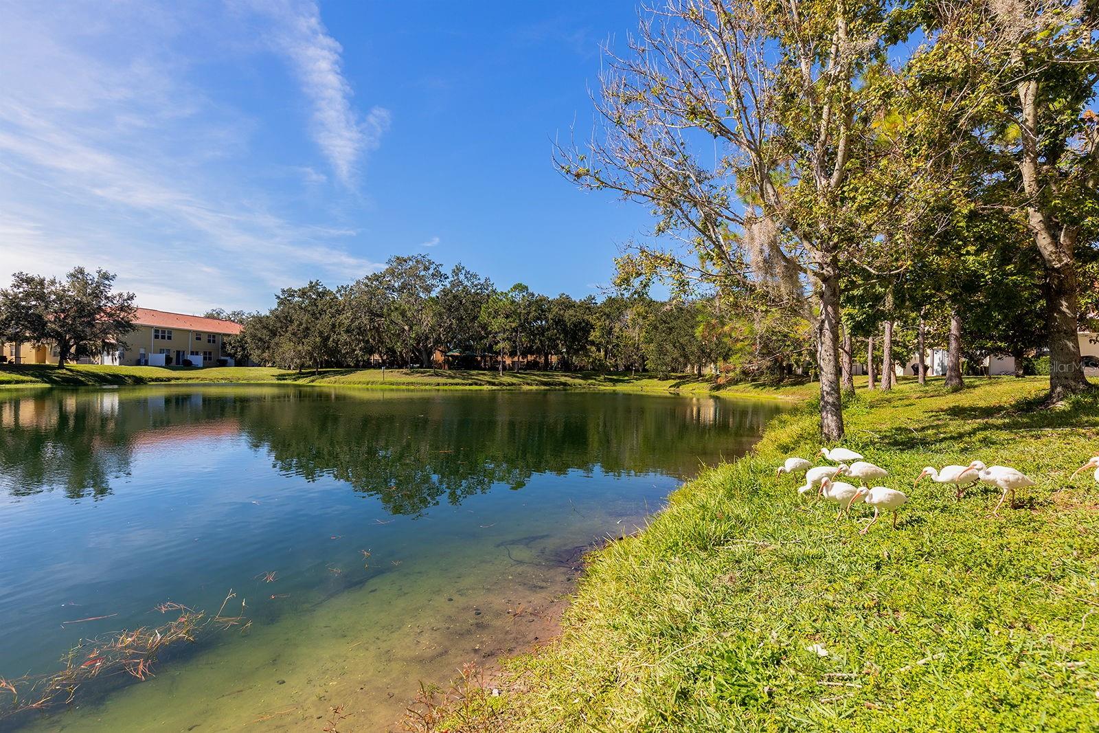 Image 24 of 27 For 3072 Seaview Castle Drive