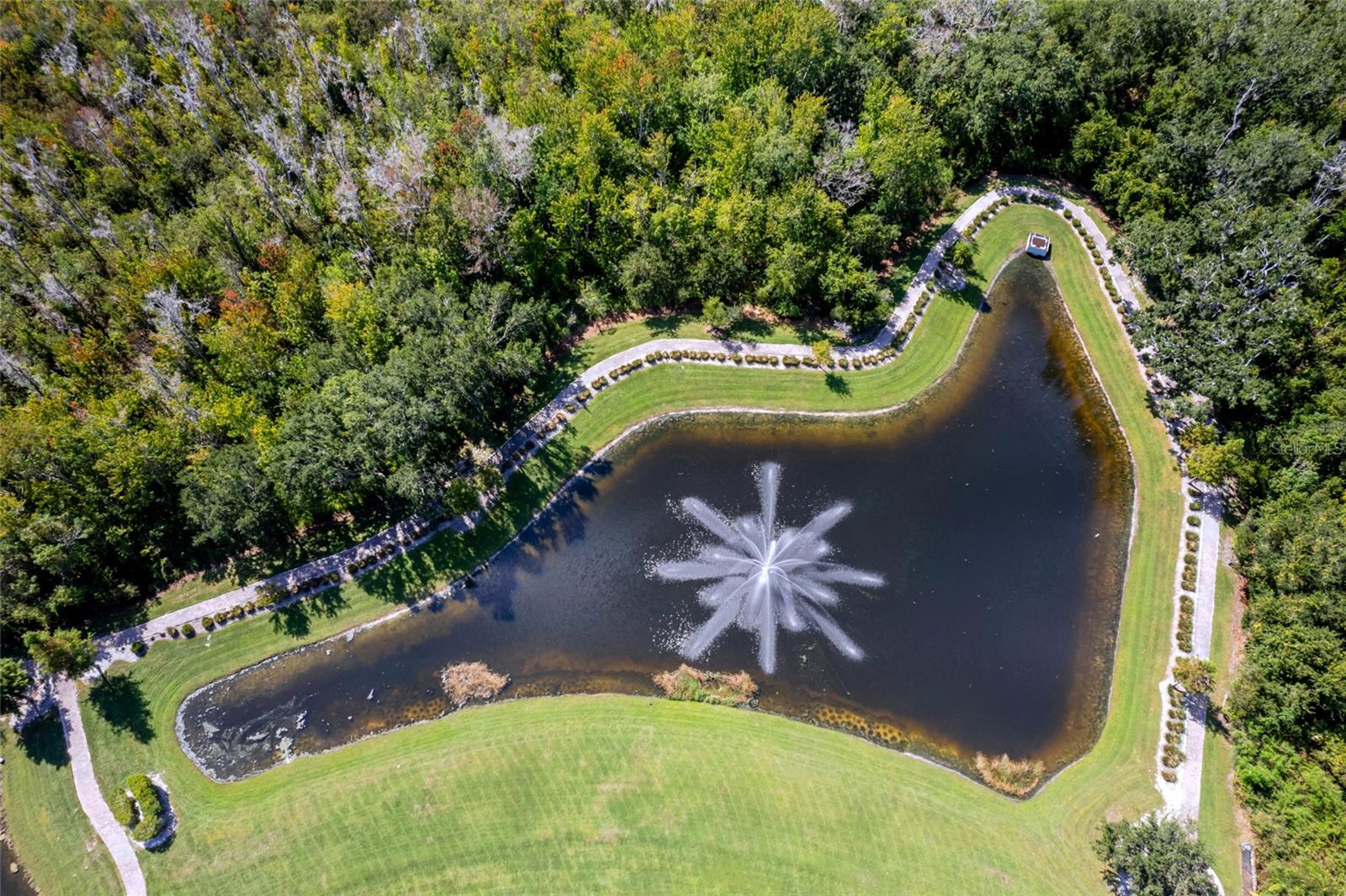 Image 83 of 86 For 12904 Canopy Woods Way