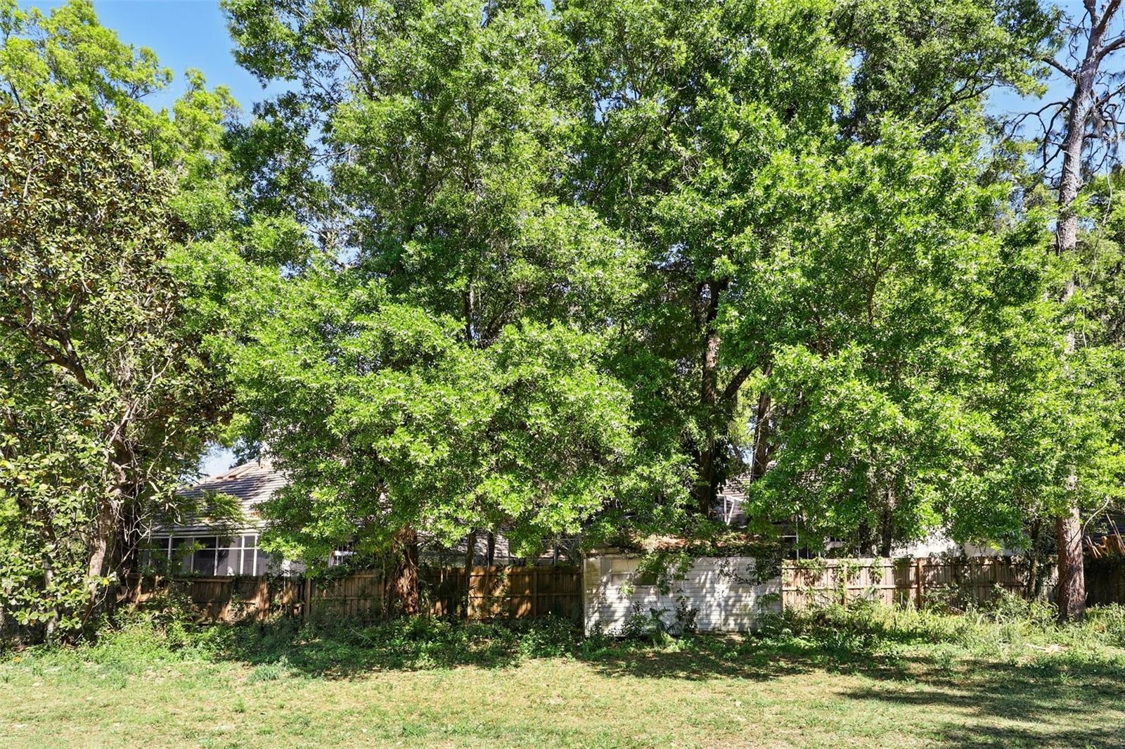 Image 30 of 30 For 1617 Acacia Road