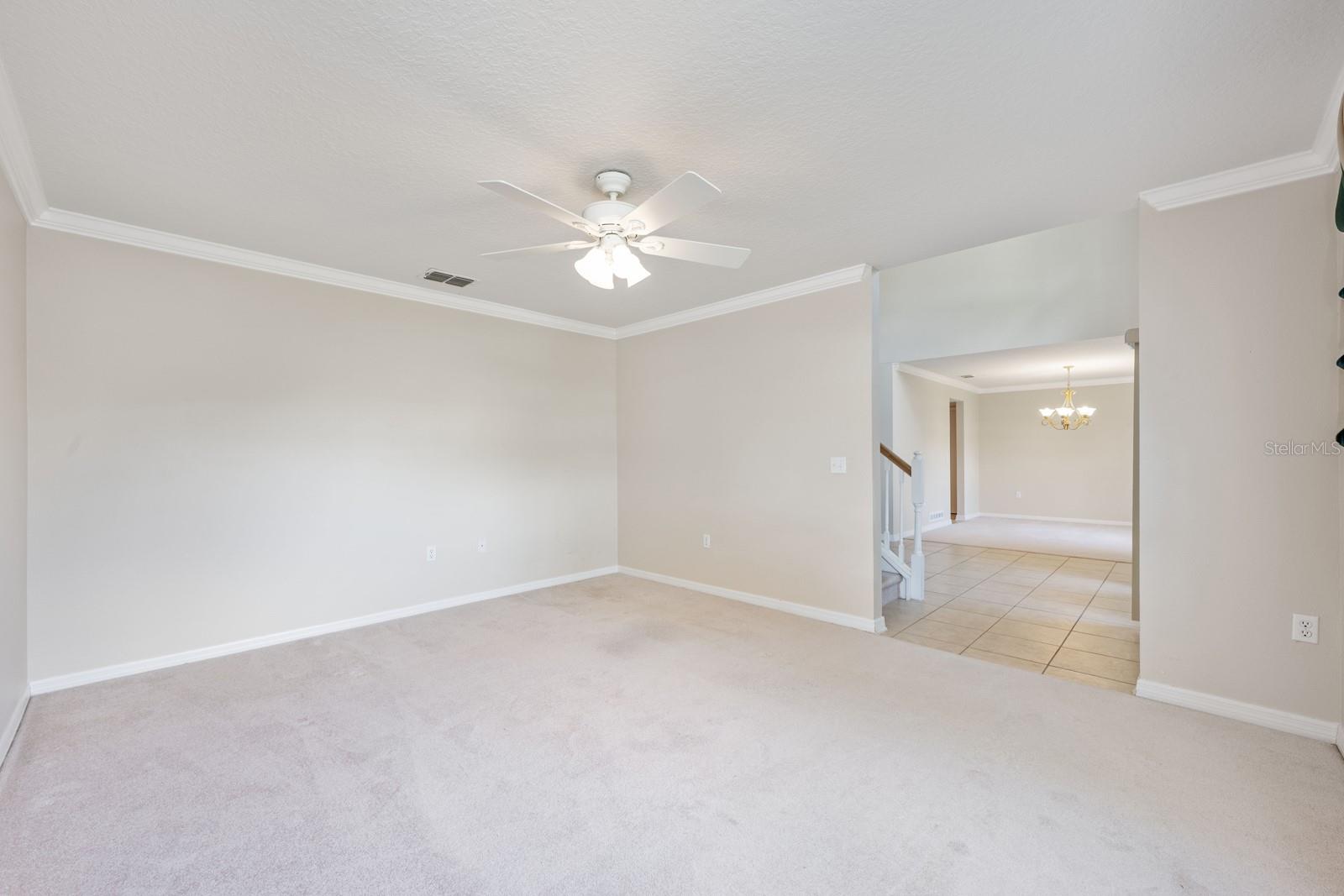 Image 31 of 40 For 541 Yellow Tail Place