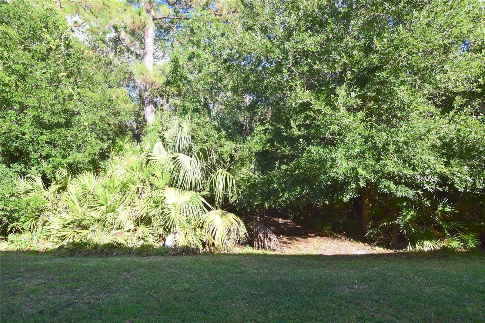 Image 4 of 43 For 3685 Coconut Palm Circle