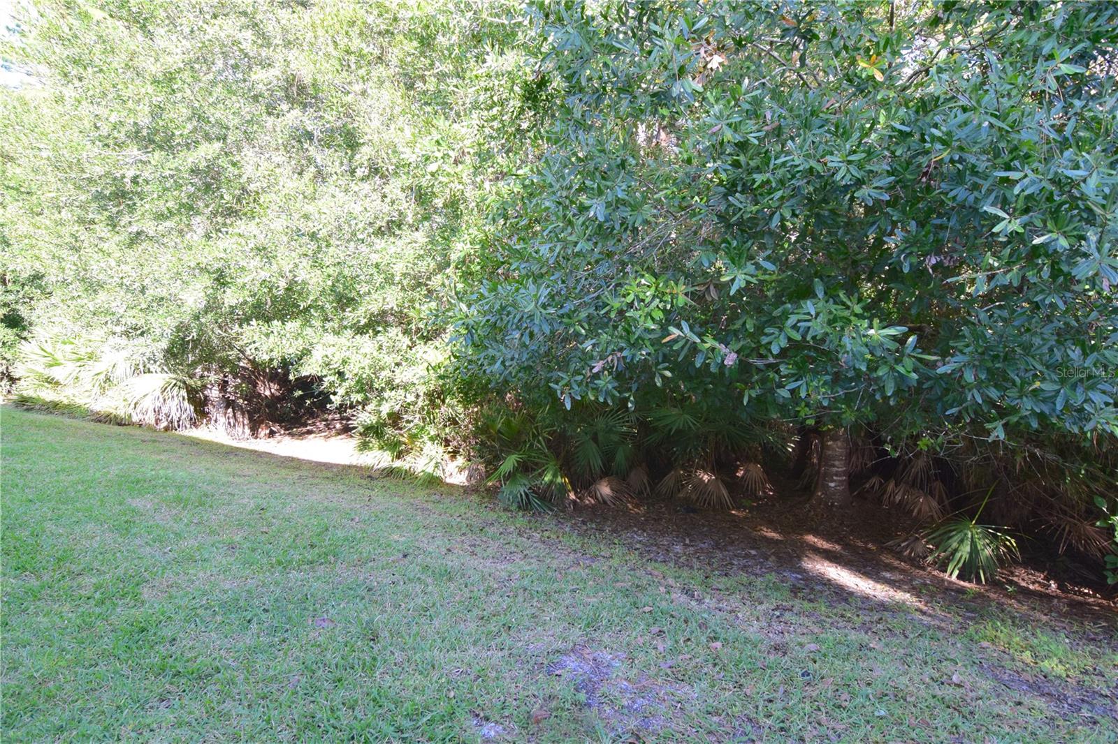 Image 5 of 43 For 3685 Coconut Palm Circle