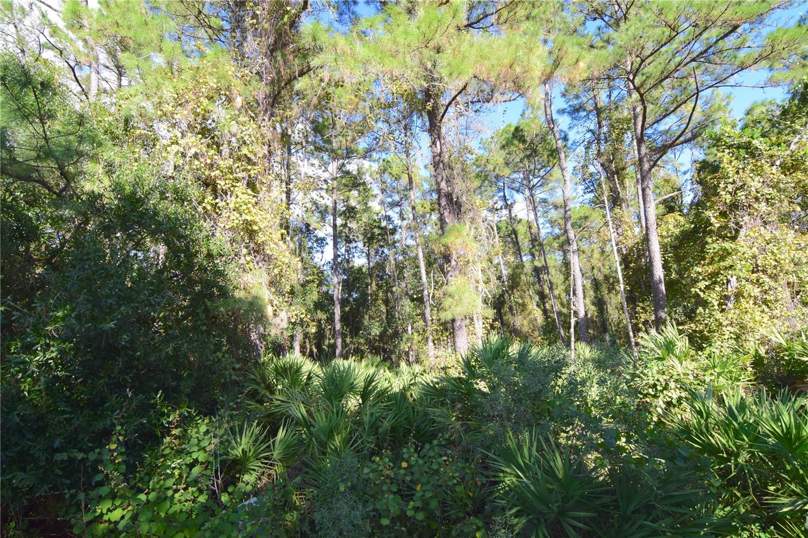 Image 6 of 43 For 3685 Coconut Palm Circle