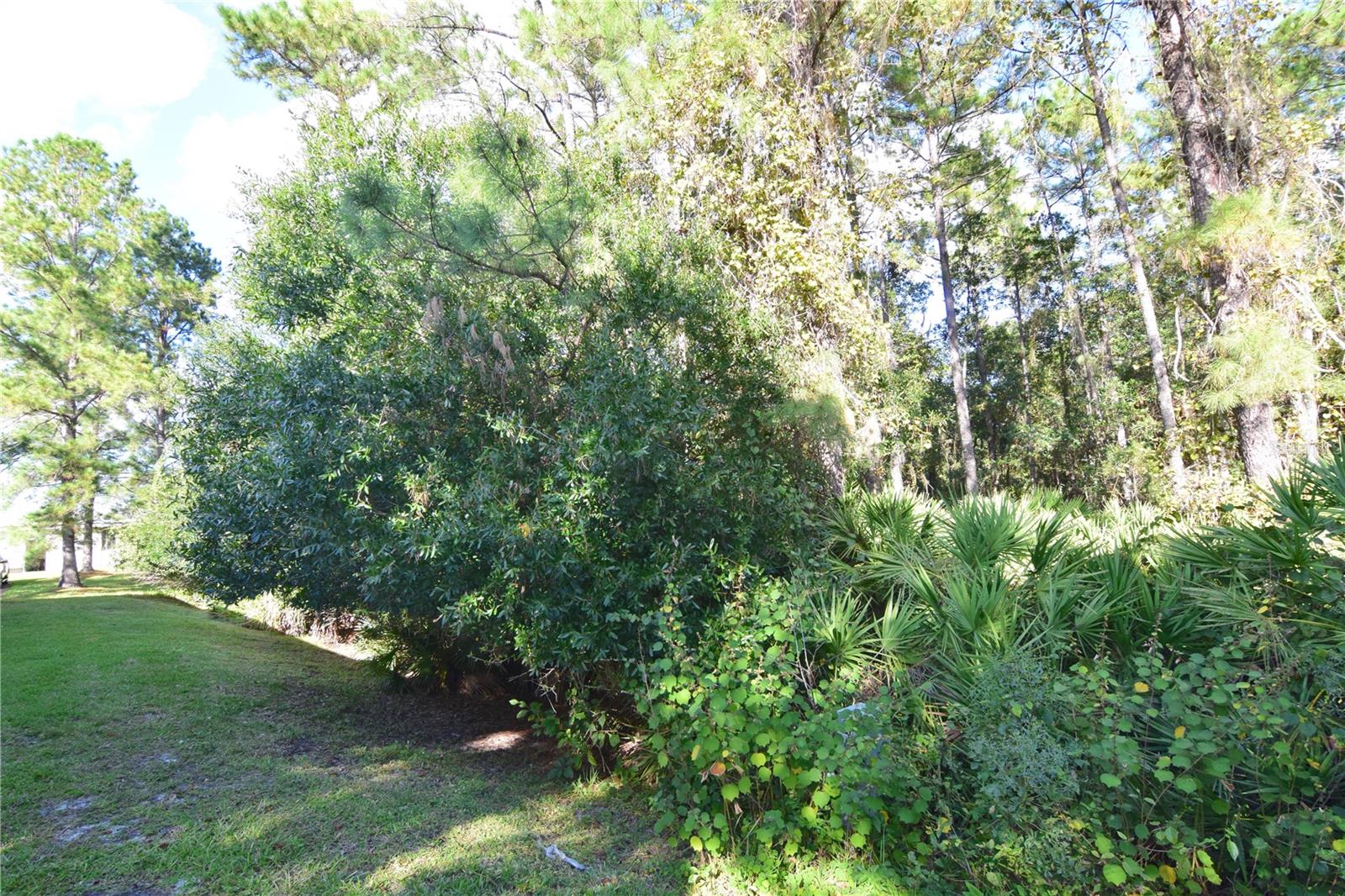 Image 7 of 43 For 3685 Coconut Palm Circle