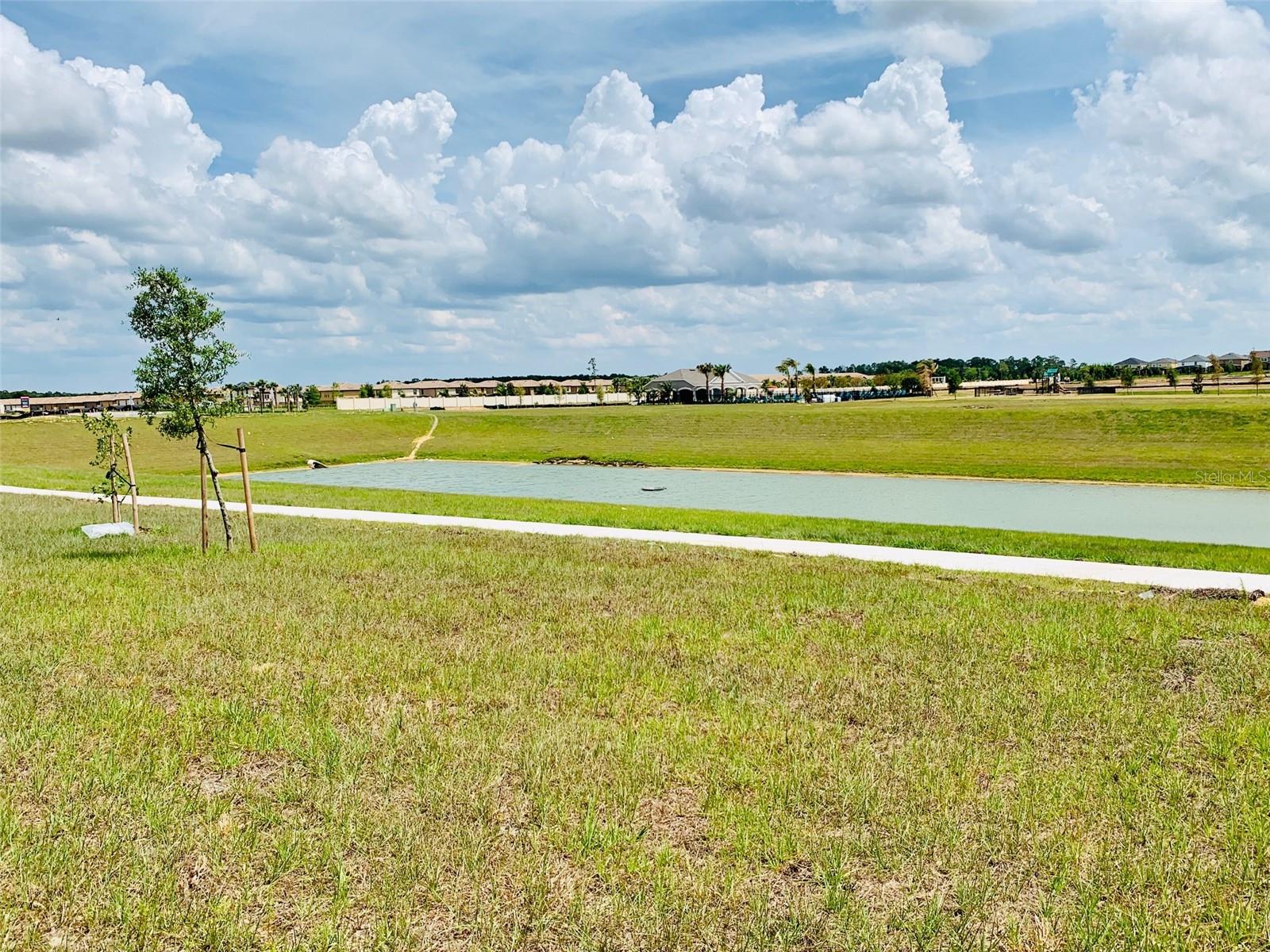 Image 24 of 25 For 9036 Tuscan Cypress Street