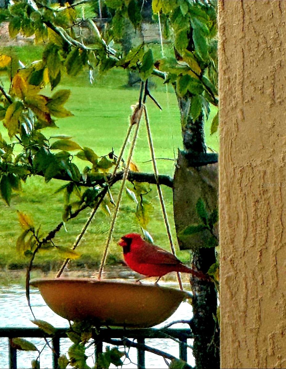 Image 76 of 83 For 8112 Cleobury Drive