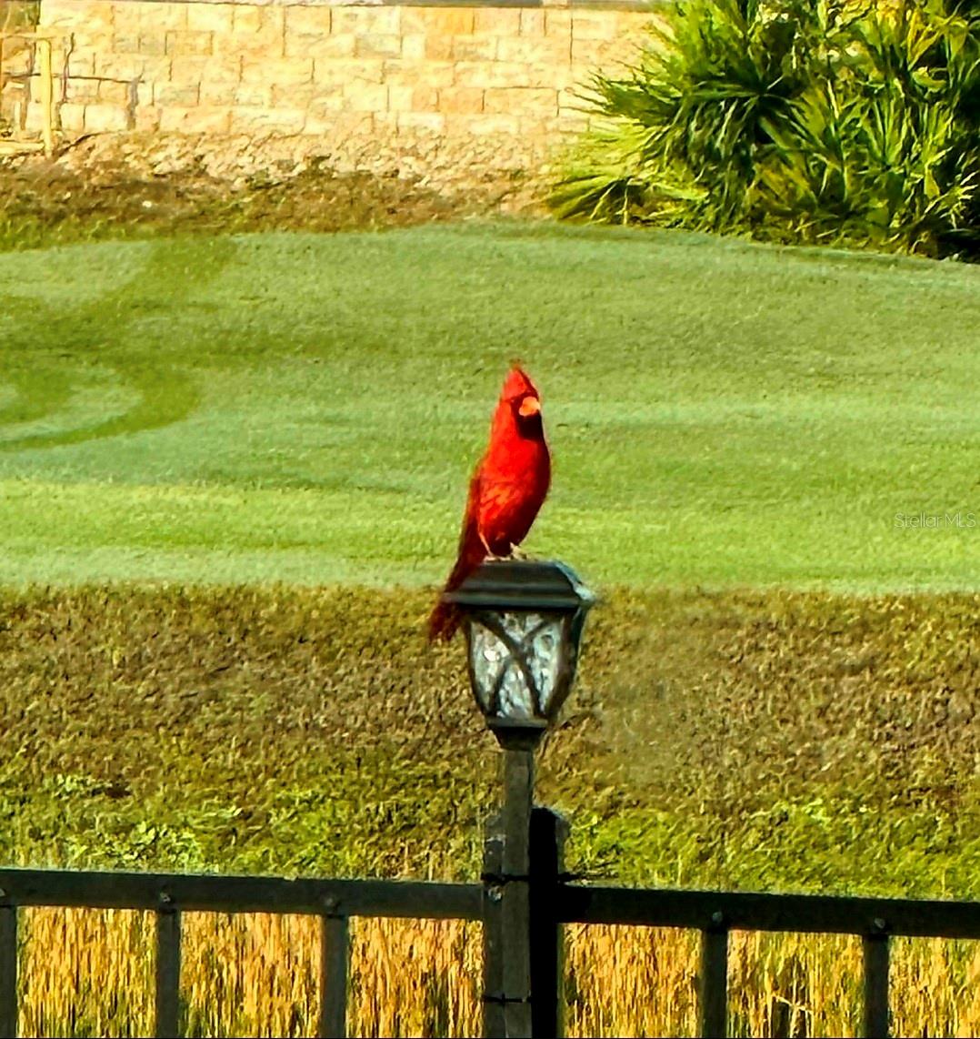 Image 77 of 83 For 8112 Cleobury Drive