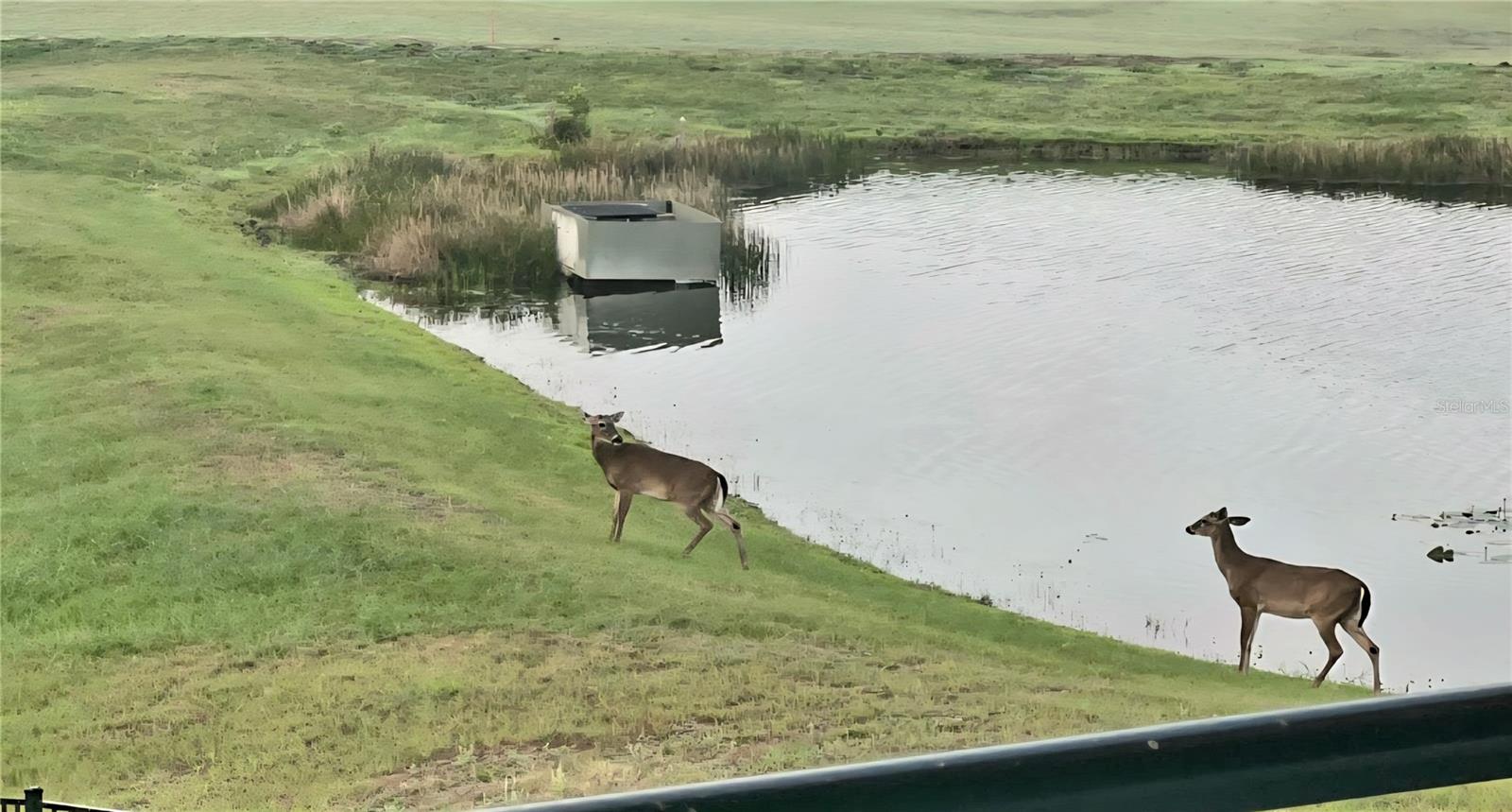 Image 78 of 83 For 8112 Cleobury Drive