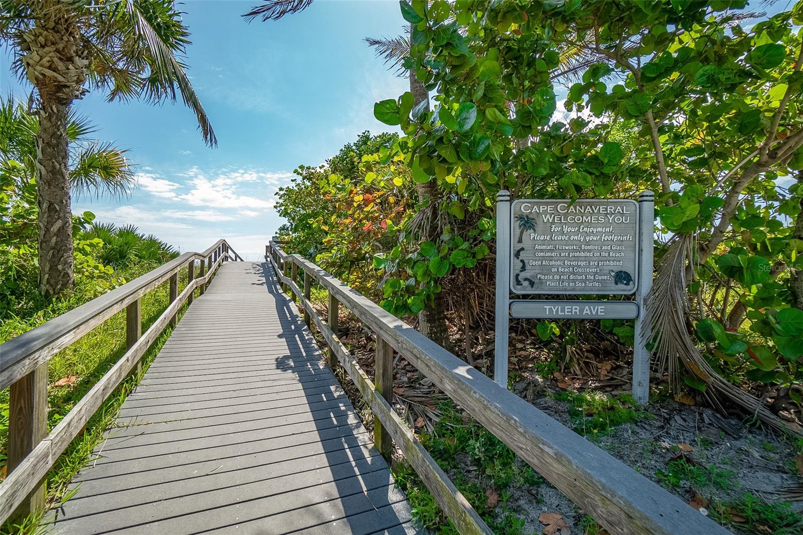 Image 31 of 34 For 7520 Ridgewood Avenue 809