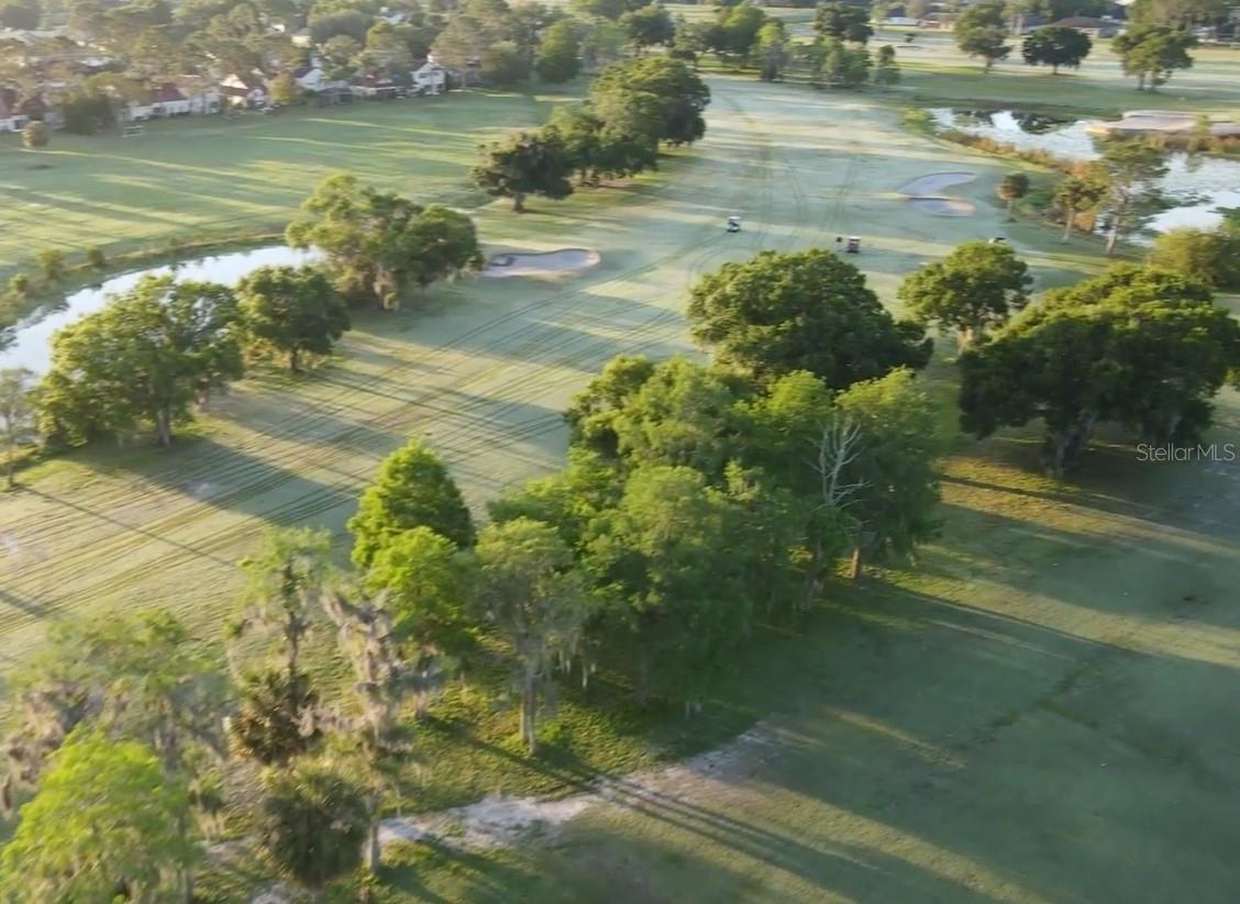 Image 8 of 8 For Lot 32 Starry Street