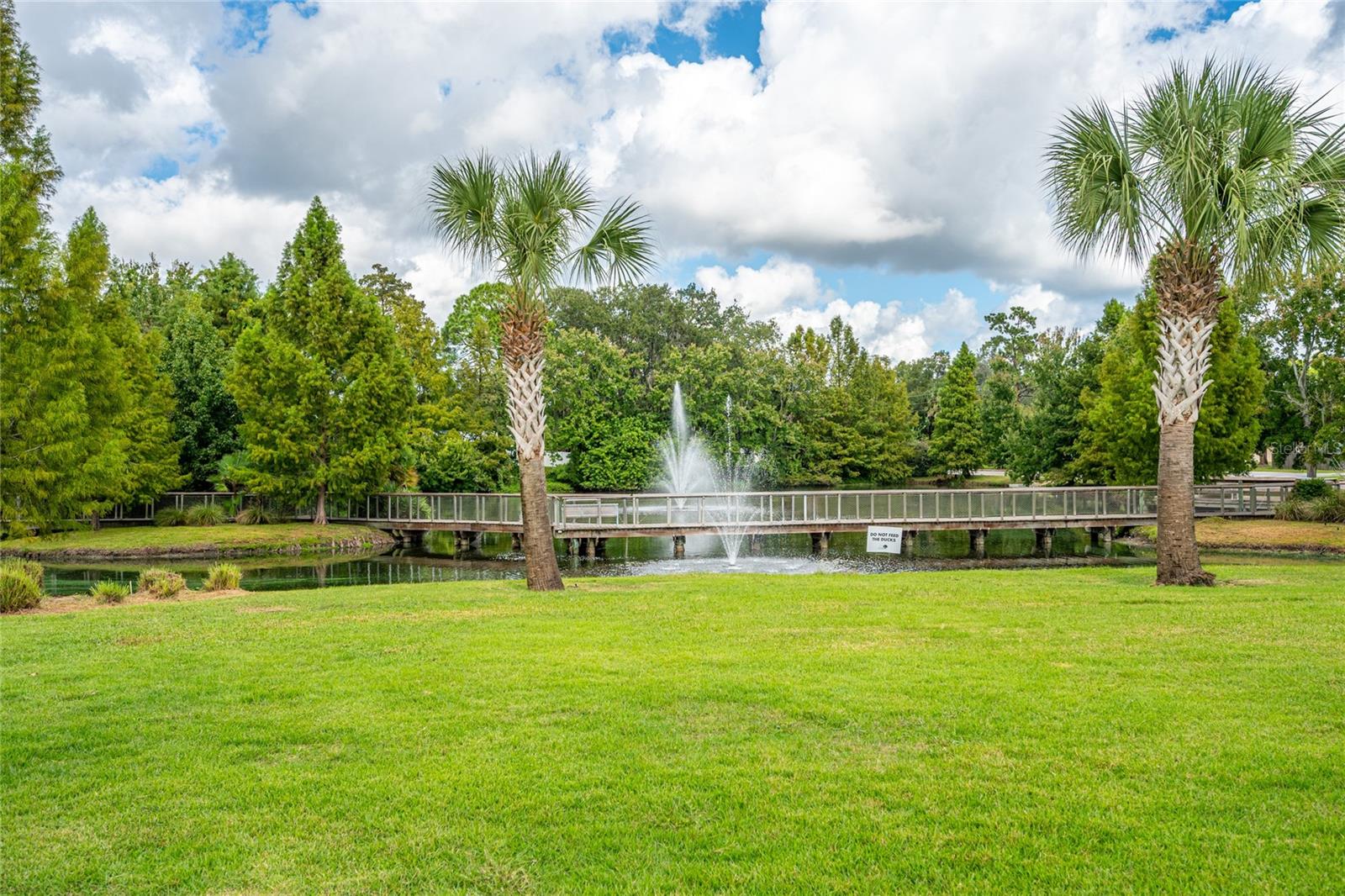 Image 20 of 21 For 272 Warren Avenue