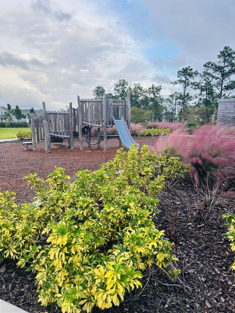 Image 77 of 87 For 13809 Luna Harvest Ave.