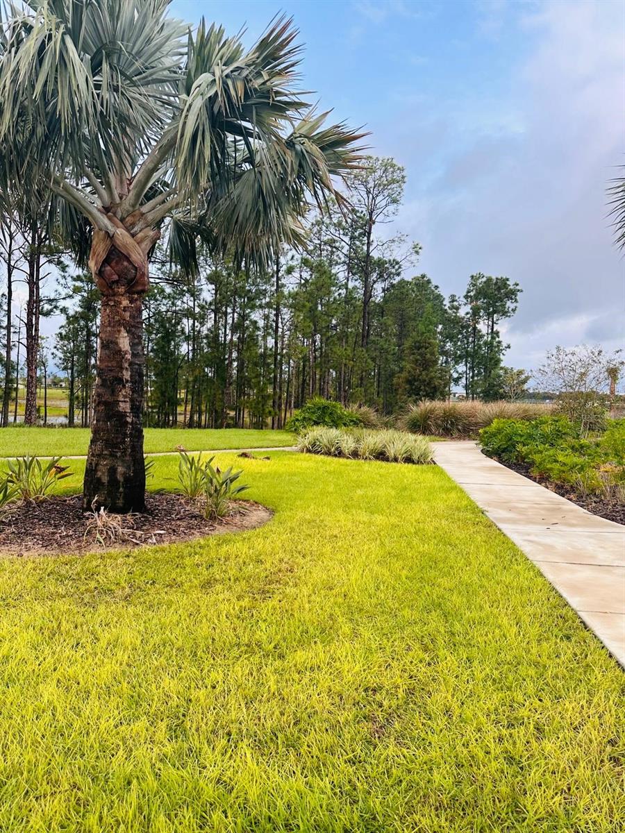 Image 79 of 87 For 13809 Luna Harvest Ave.