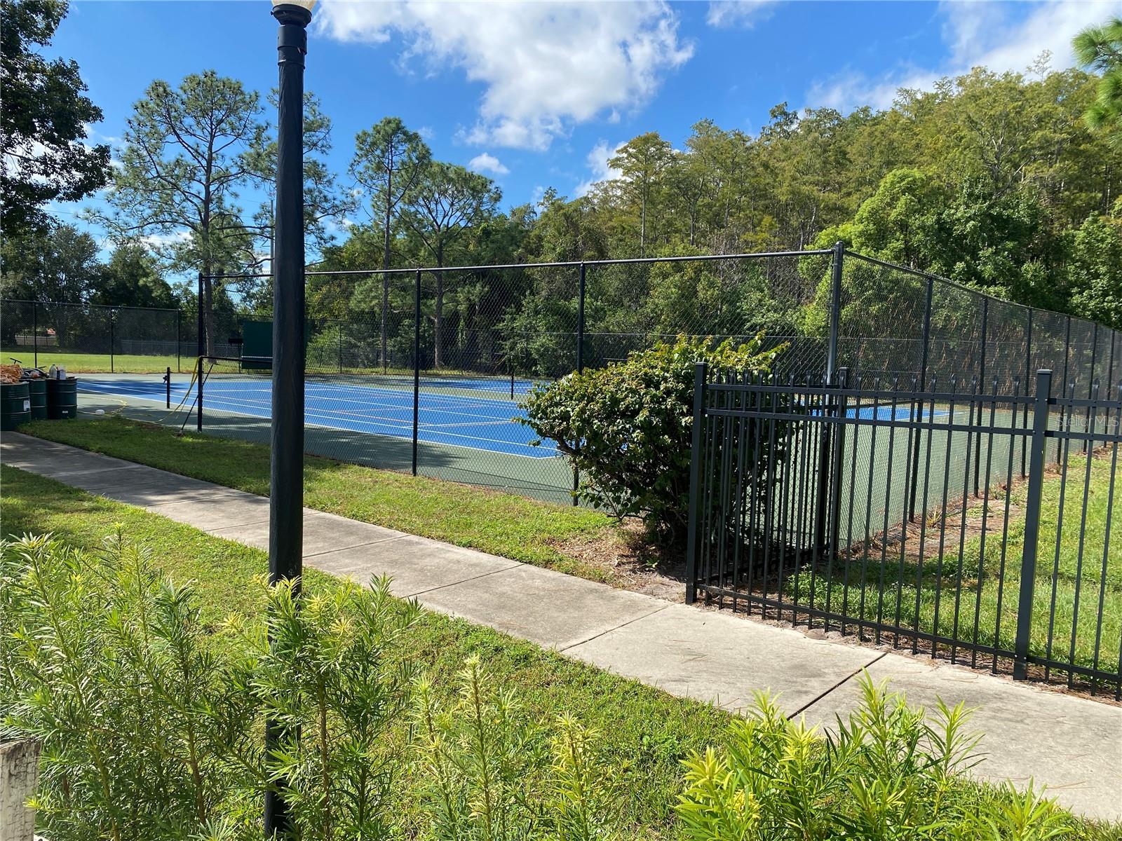 Image 34 of 35 For 10305 Licorice Way