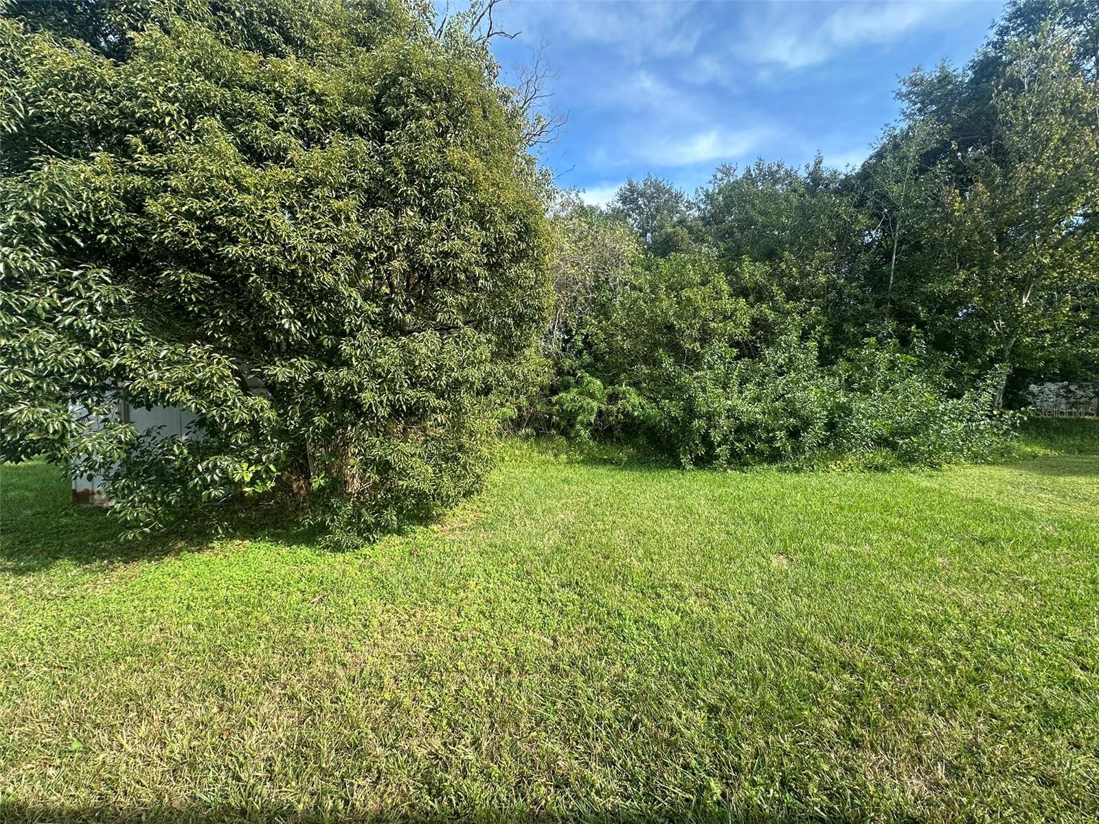 Image 14 of 14 For 213 Montana Avenue