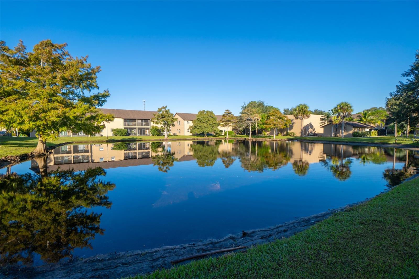 Image 33 of 38 For 220 Spring Drive 2