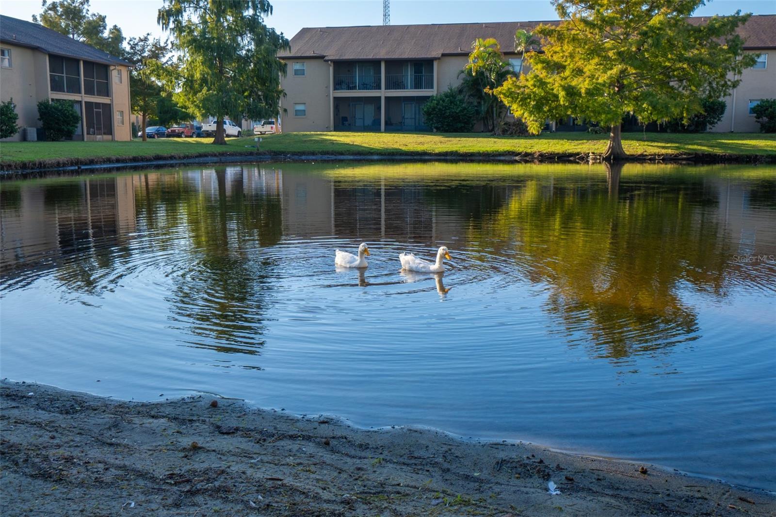 Image 34 of 38 For 220 Spring Drive 2