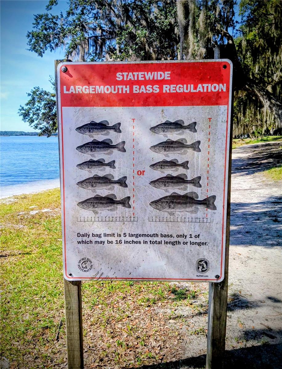 Image 23 of 37 For 25164 140th Loop 239