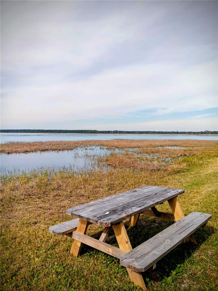 Image 26 of 37 For 25164 140th Loop 239