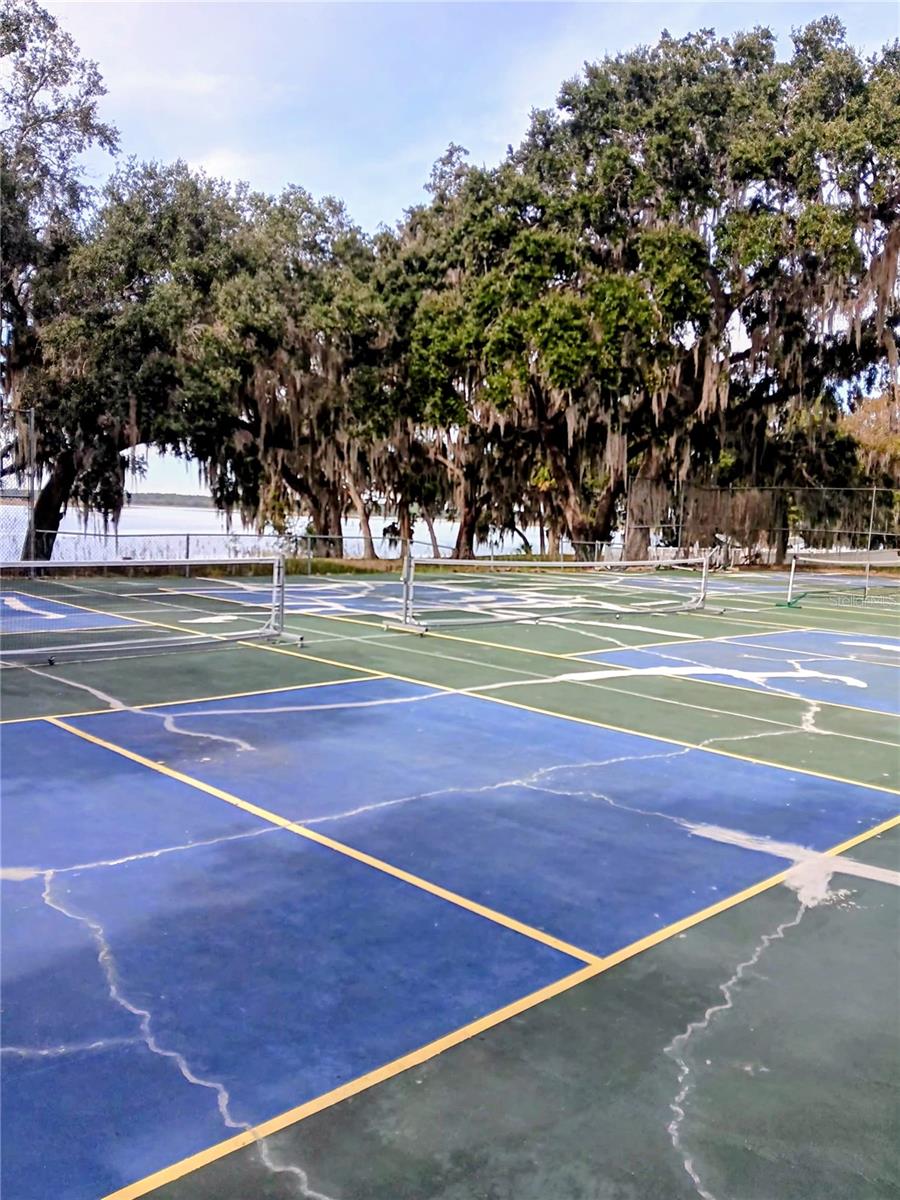 Image 30 of 37 For 25164 140th Loop 239