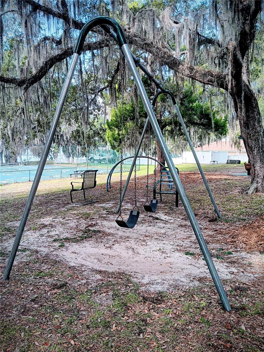 Image 31 of 37 For 25164 140th Loop 239