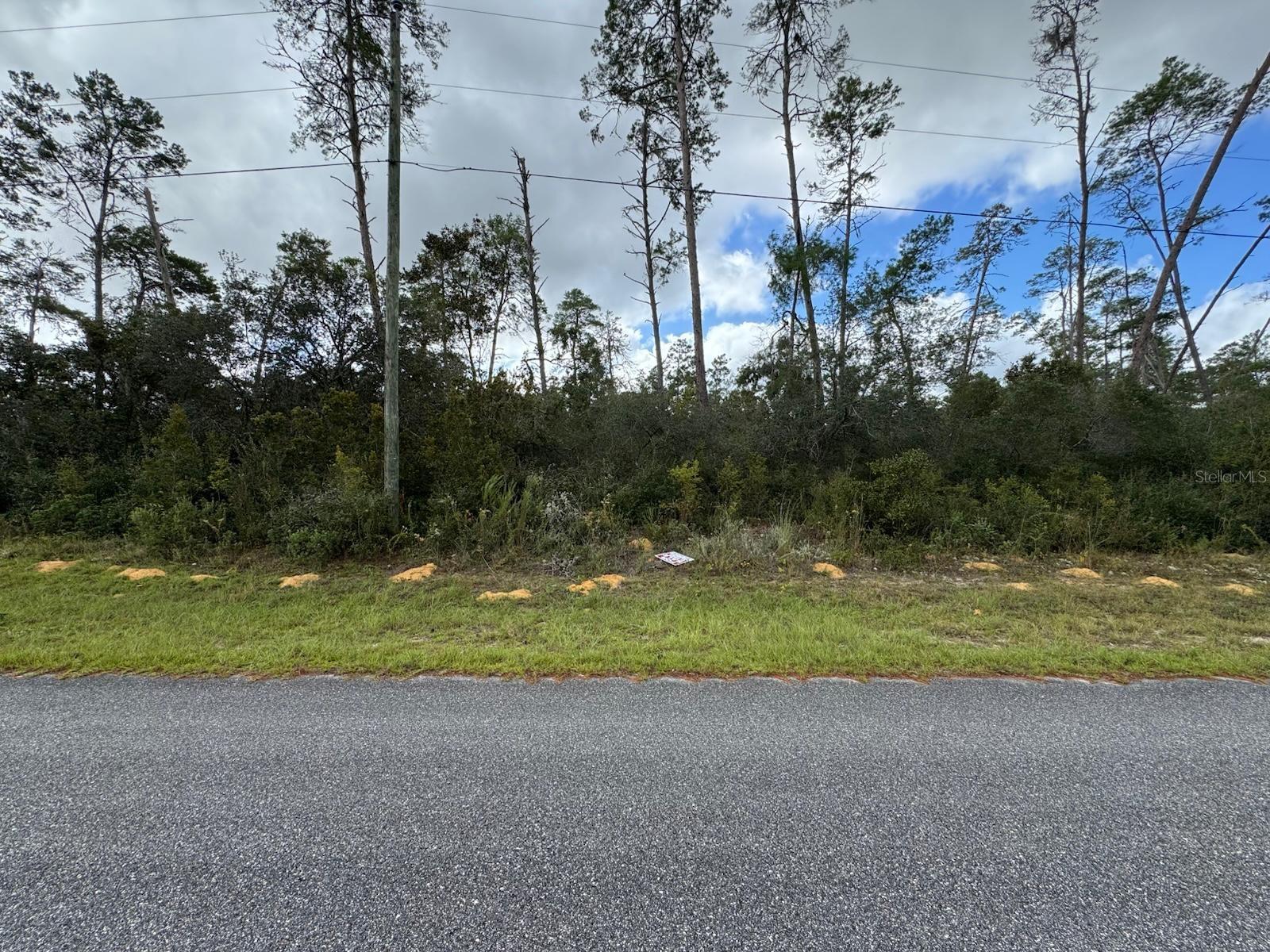 Listing photo id 1 for 4354 Findlay Street