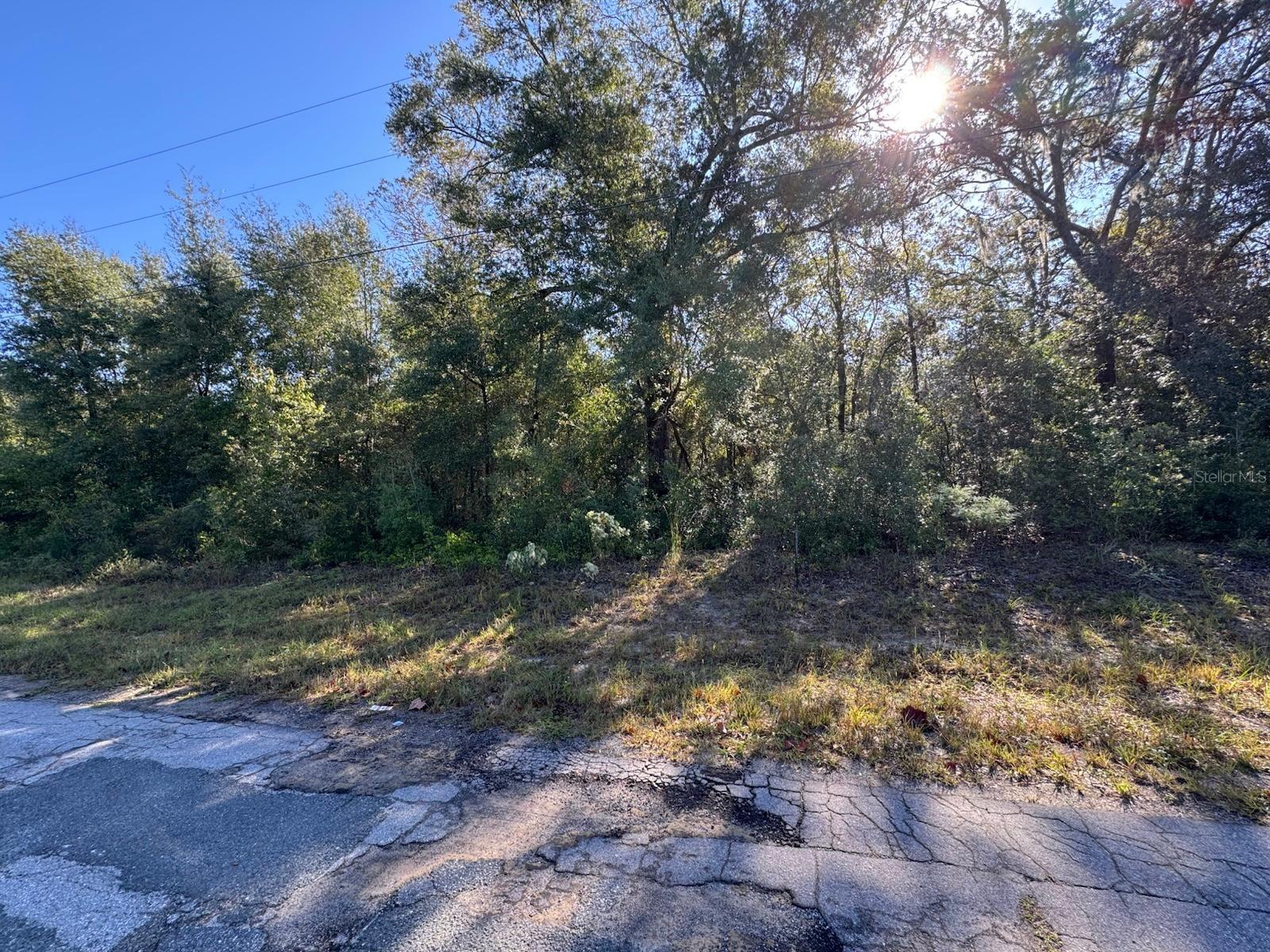 Image 4 of 9 For 10241 Halsey Way