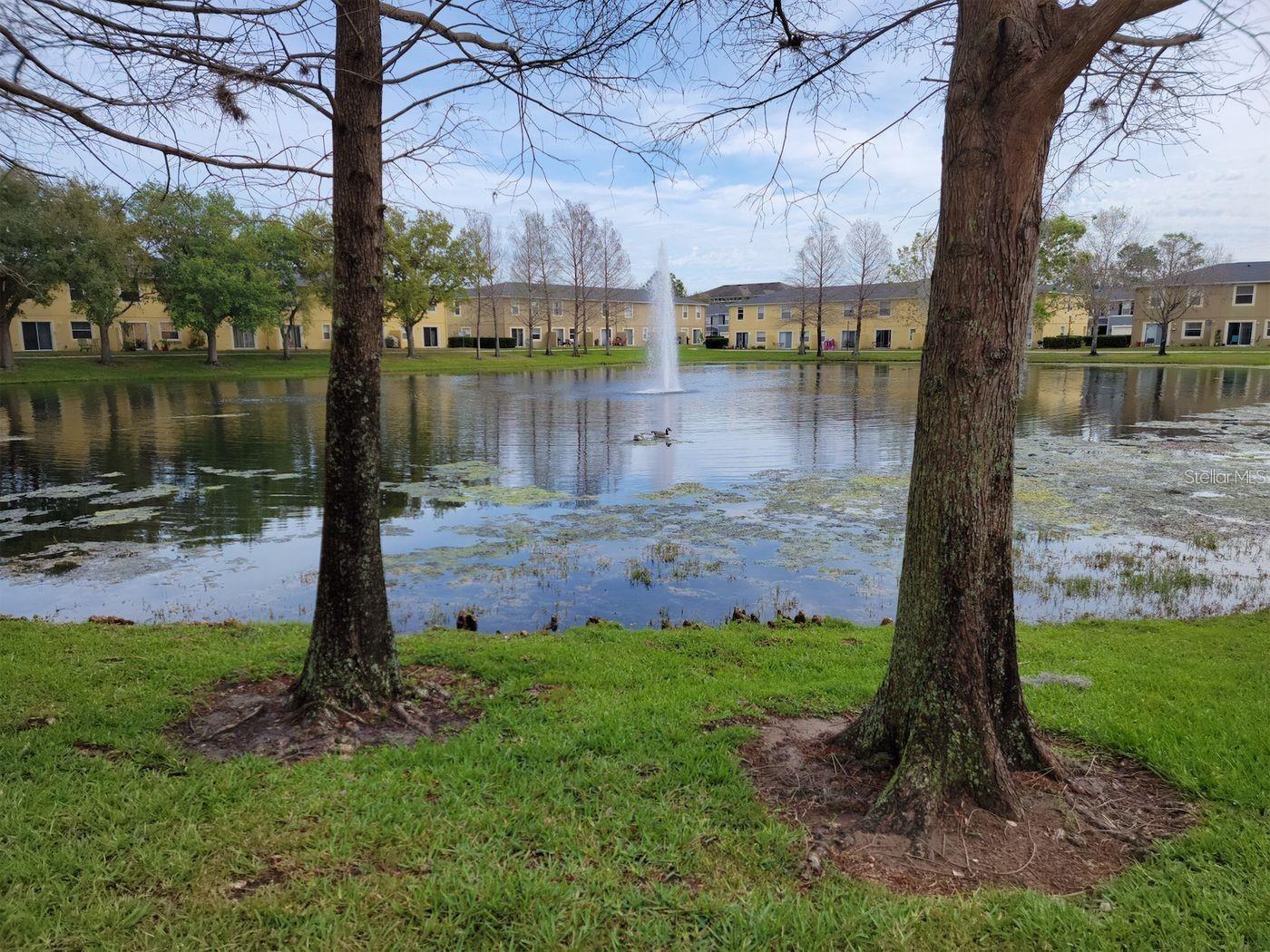 Image 4 of 24 For Address Not Provided