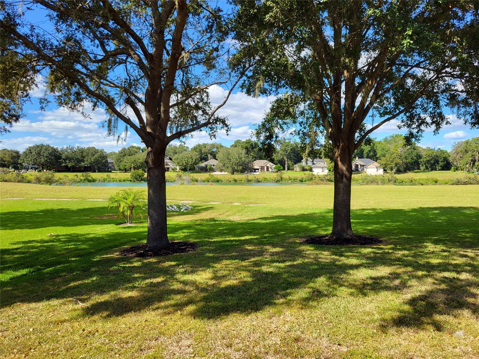 Image 24 of 24 For 889 Rock Creek Street