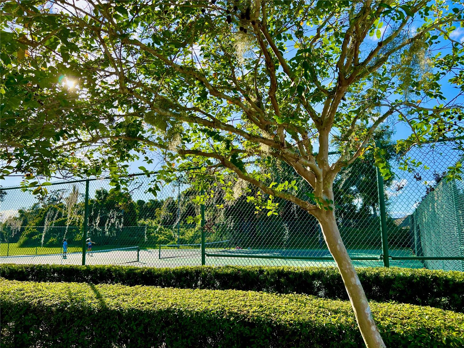 Image 28 of 31 For 2477 Spring Tune Alley