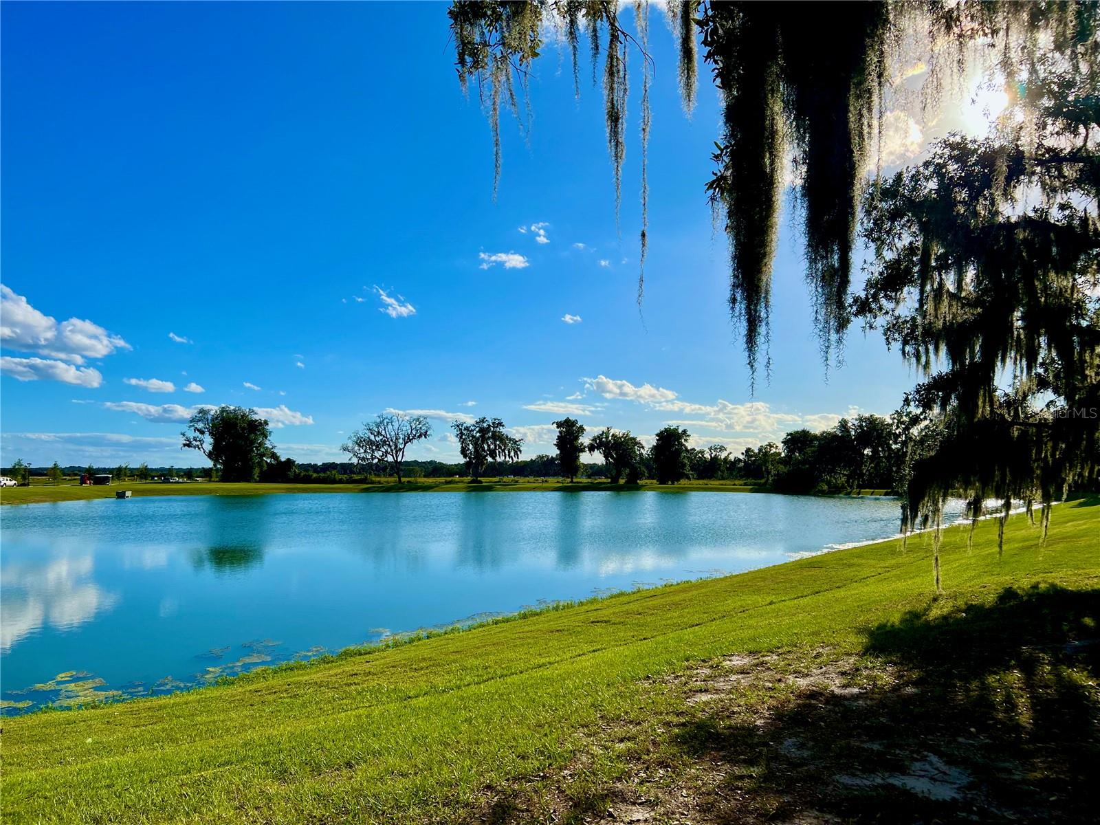 Image 30 of 31 For 2477 Spring Tune Alley