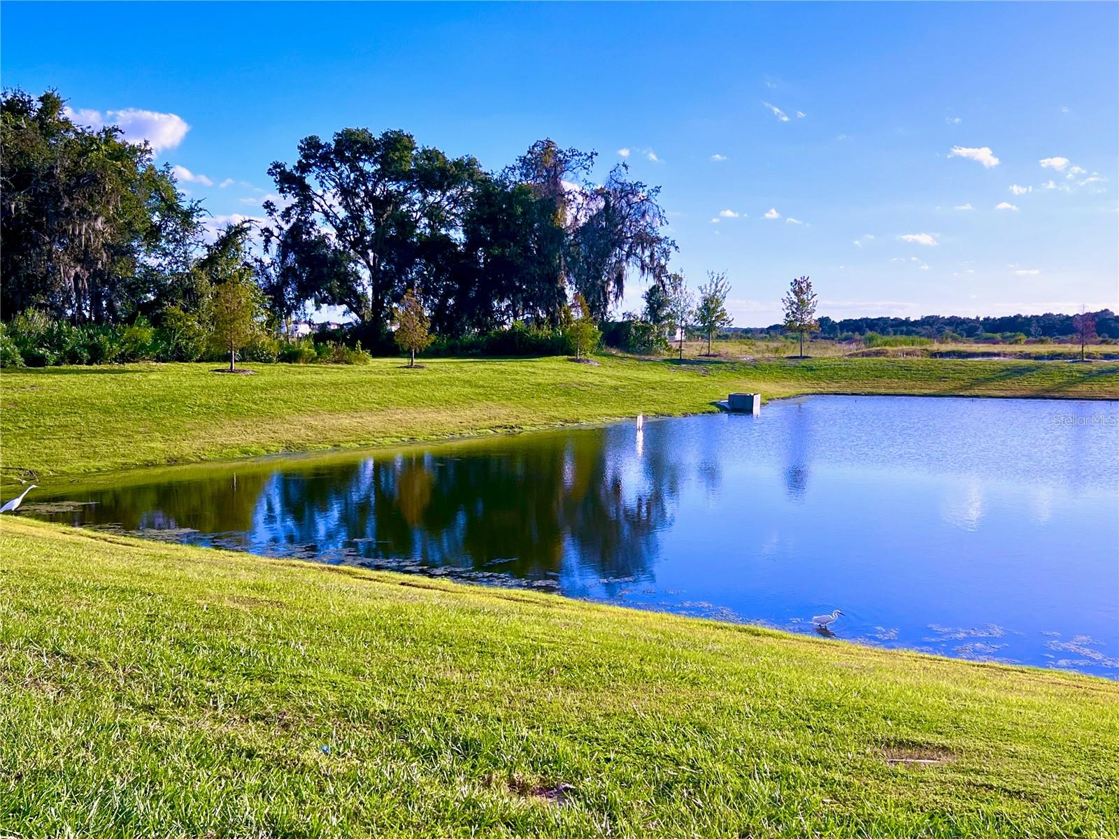 Image 7 of 31 For 2477 Spring Tune Alley