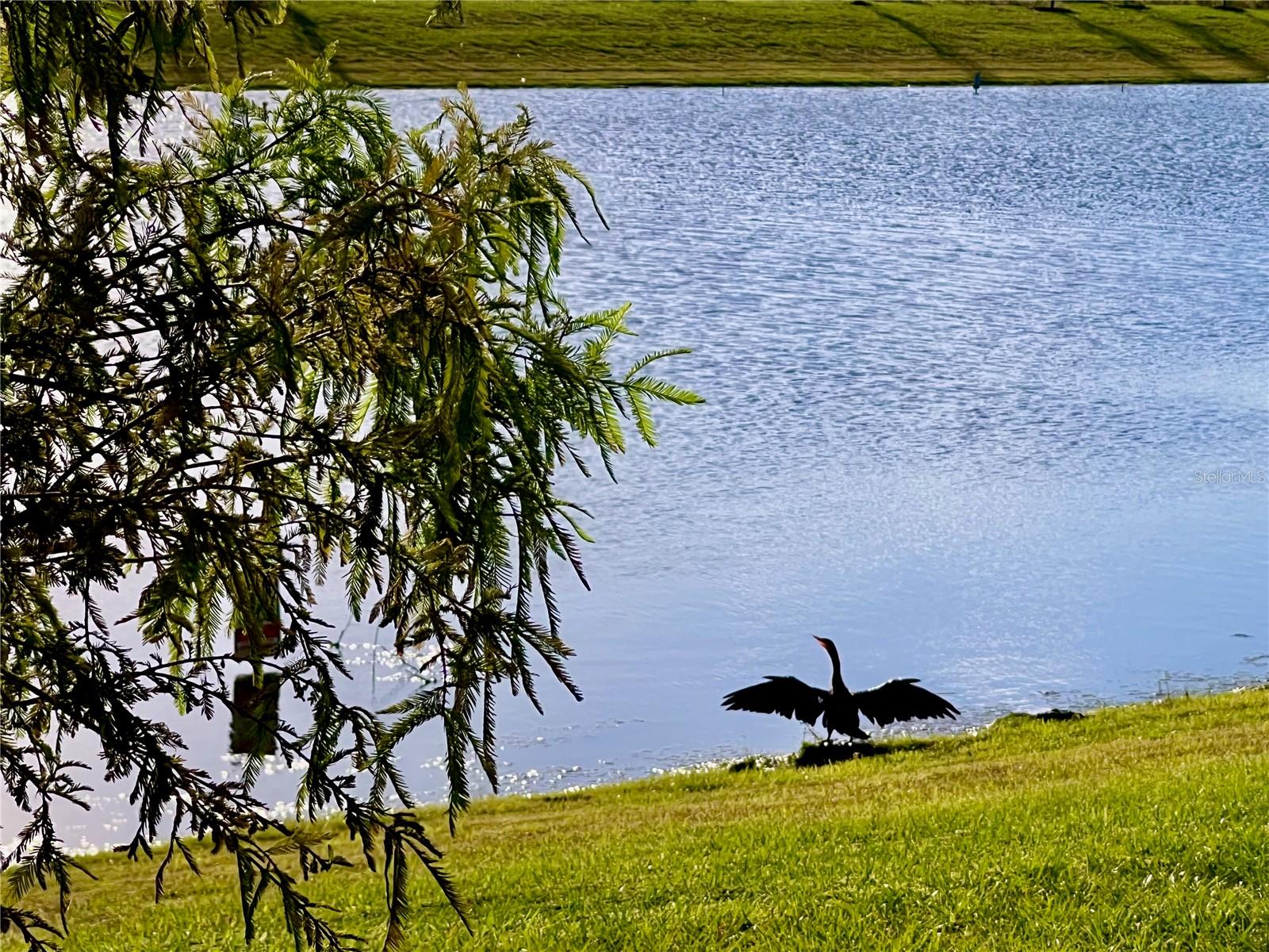 Image 8 of 31 For 2477 Spring Tune Alley