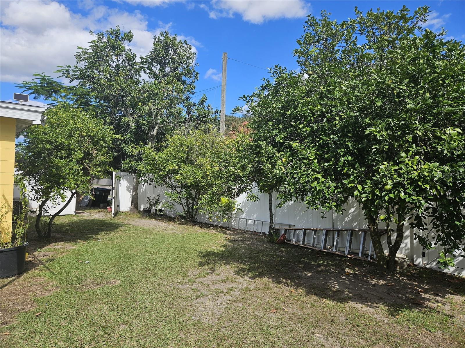 Image 9 of 11 For 3902 Castell Drive