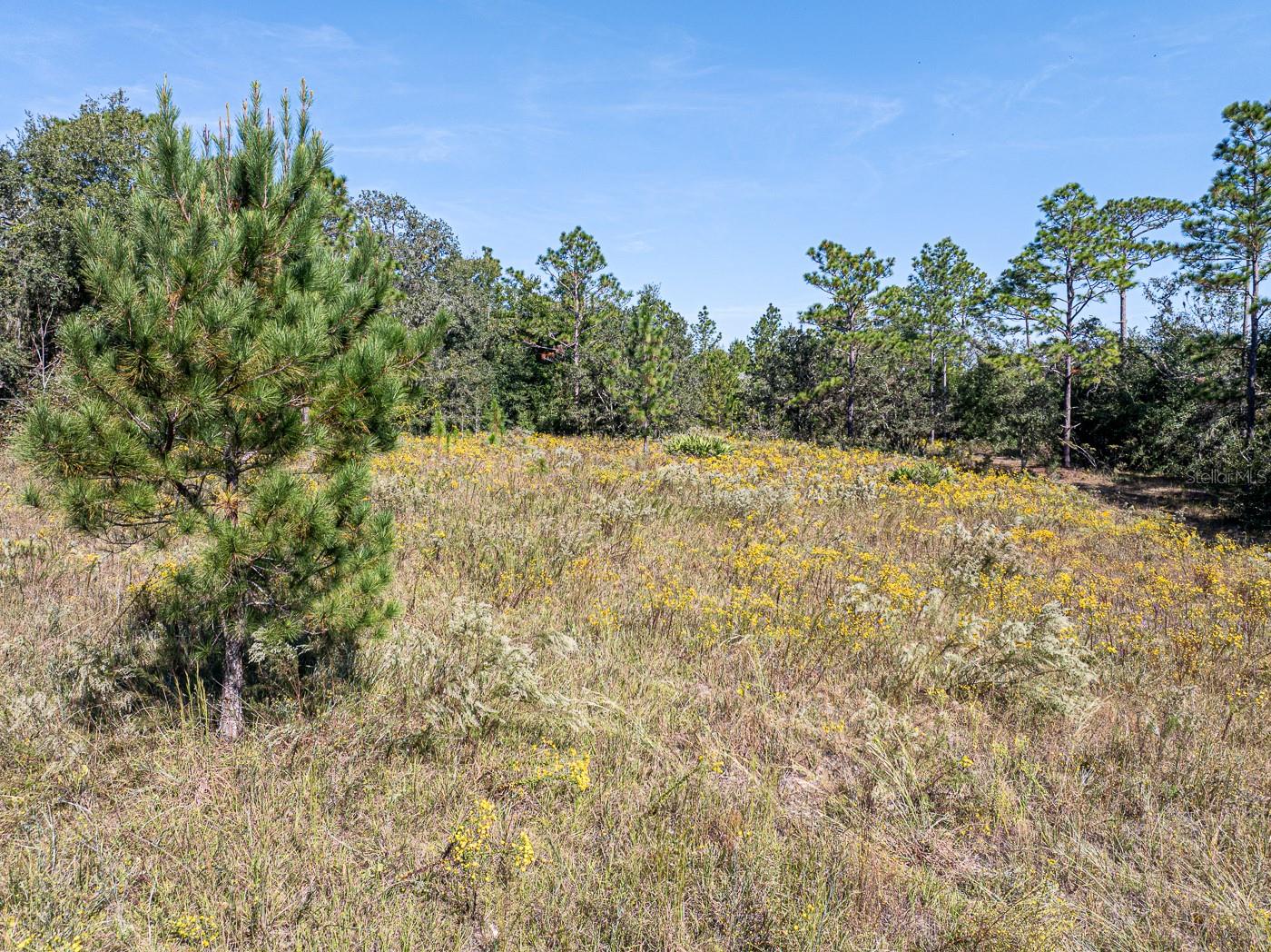 Image 10 of 41 For 34095 Hyatt Rd