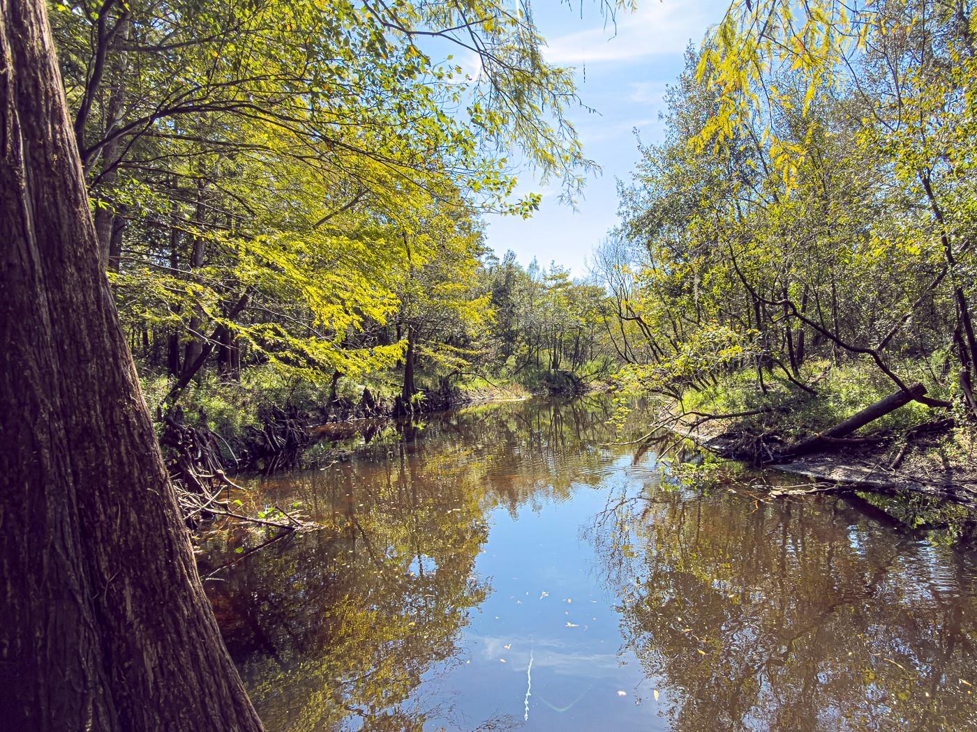 Image 19 of 41 For 34095 Hyatt Rd