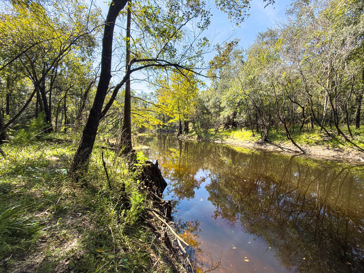 Image 21 of 41 For 34095 Hyatt Rd