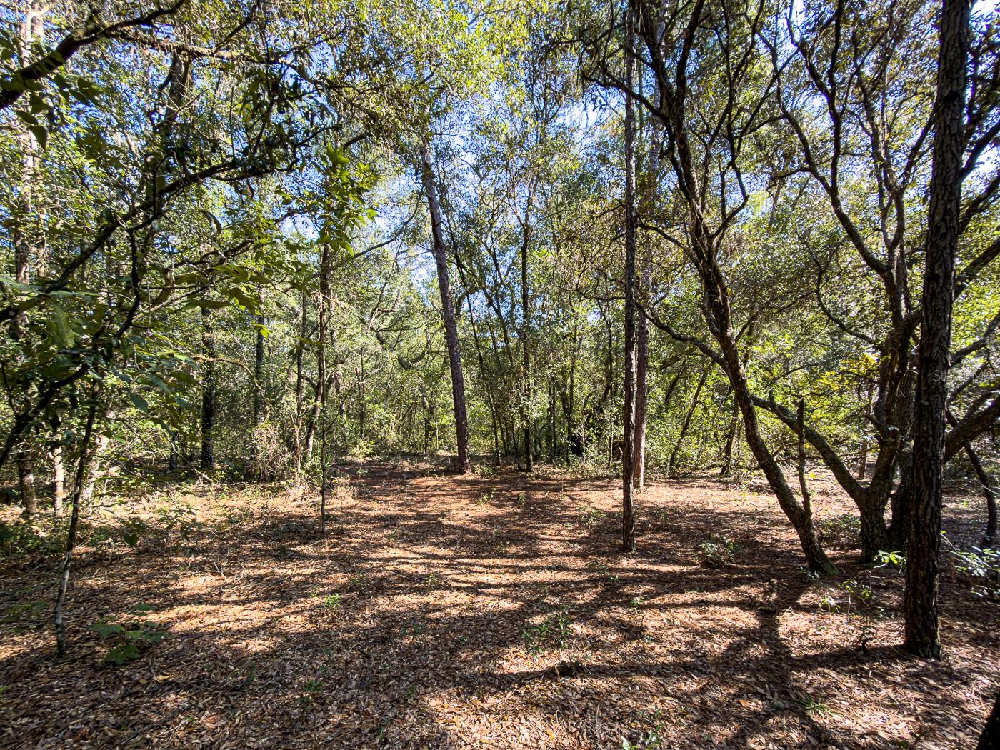 Image 24 of 41 For 34095 Hyatt Rd