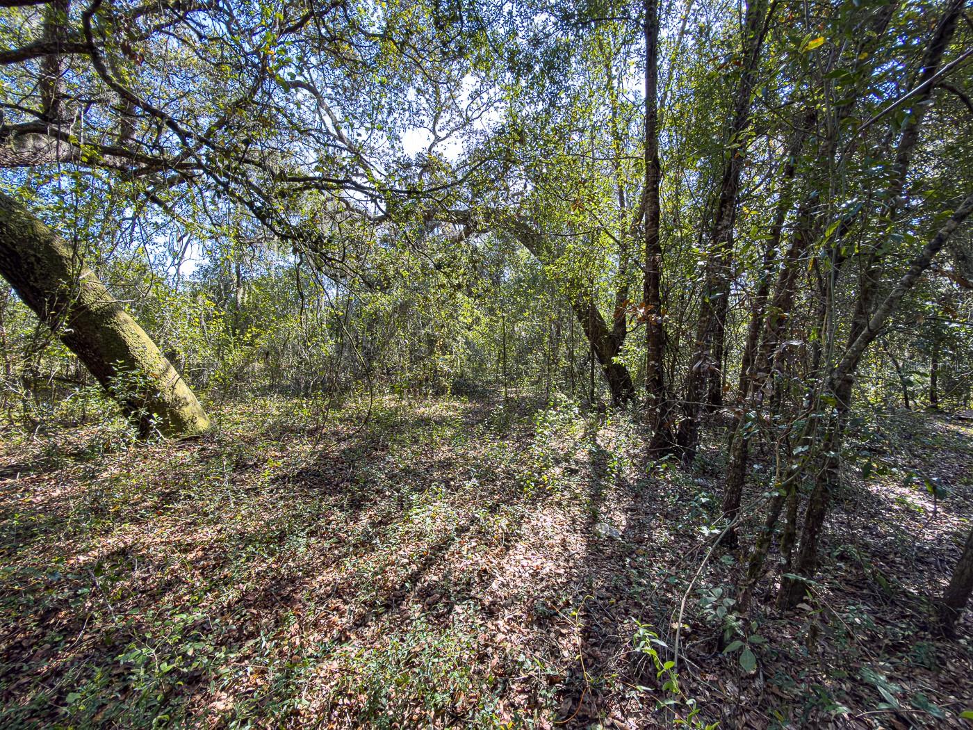 Image 30 of 41 For 34095 Hyatt Rd