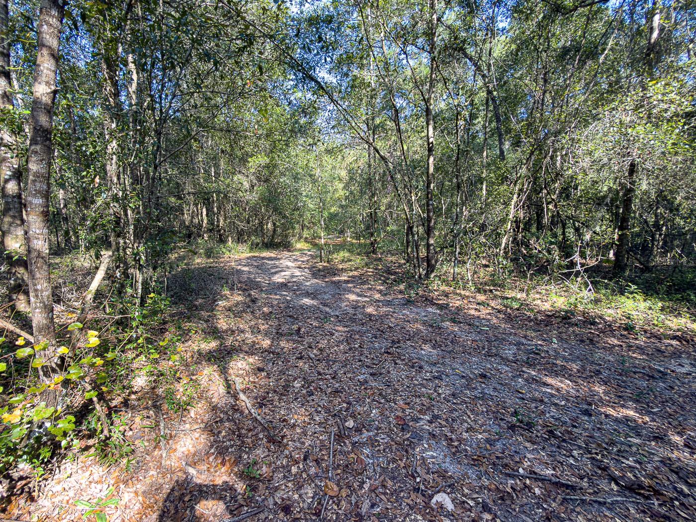 Image 31 of 41 For 34095 Hyatt Rd