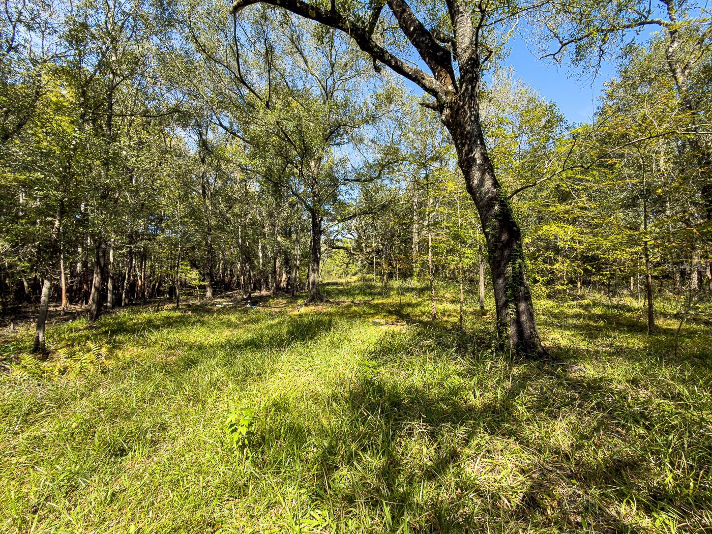 Image 34 of 41 For 34095 Hyatt Rd