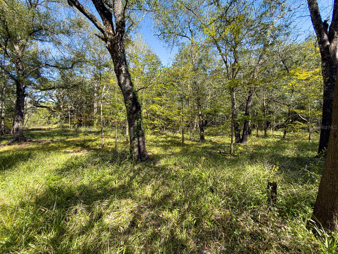 Image 35 of 41 For 34095 Hyatt Rd