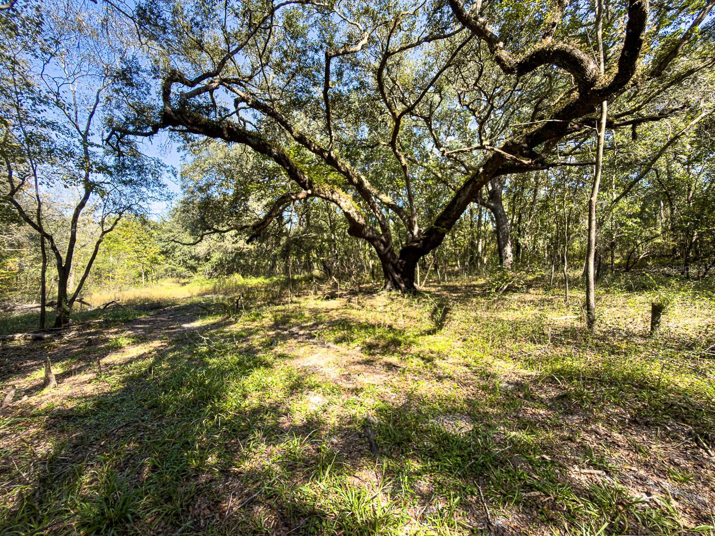 Image 39 of 41 For 34095 Hyatt Rd