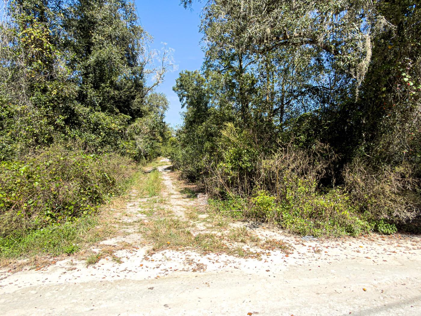 Image 6 of 41 For 34095 Hyatt Rd