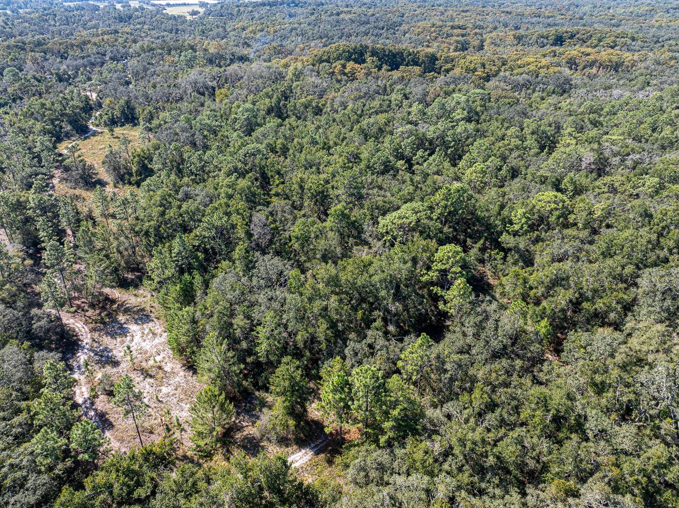 Image 8 of 41 For 34095 Hyatt Rd